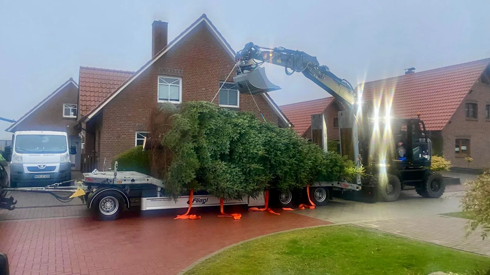 Transport eines großen Weihnachtsbaums mit Anhänger von JE Rent & Service